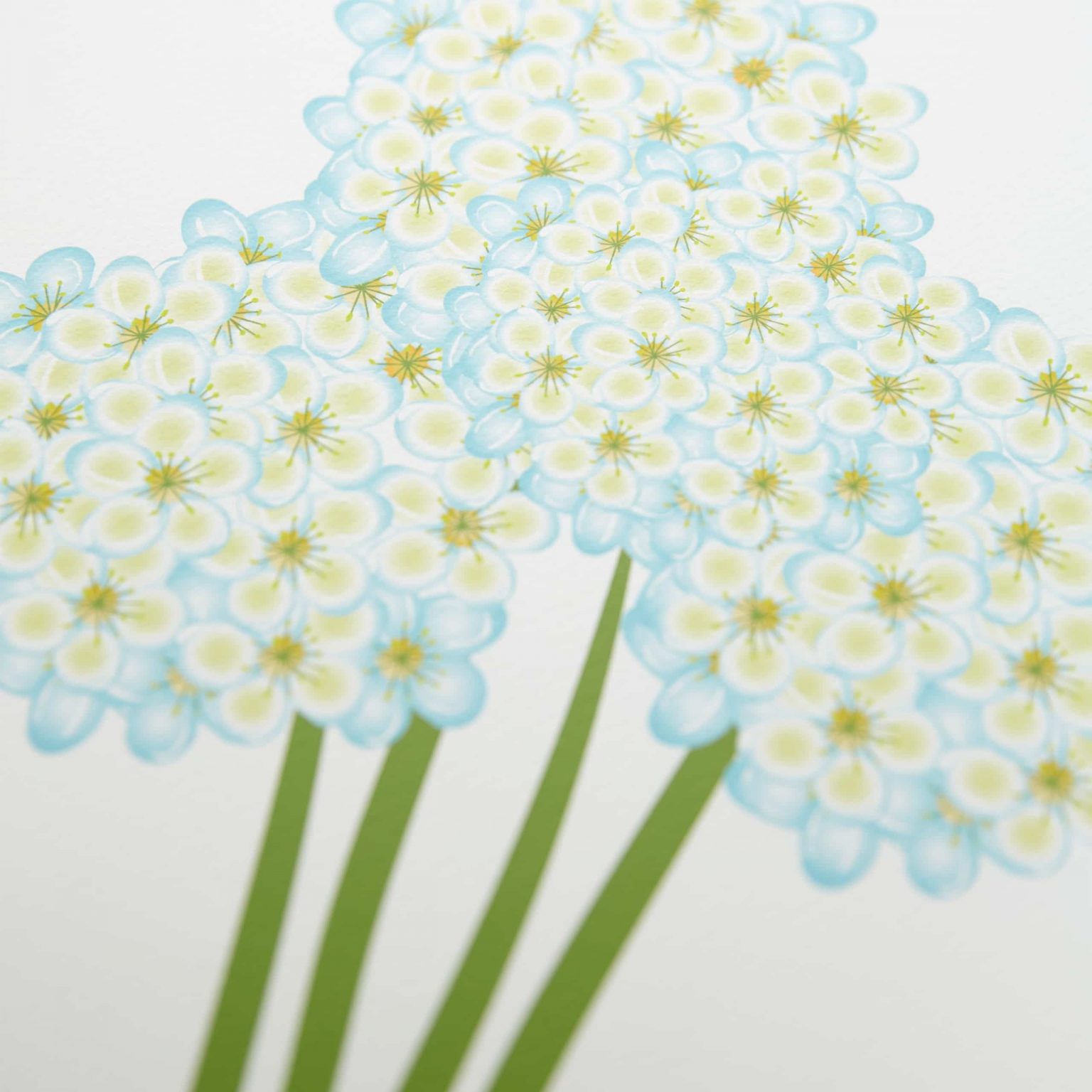 modern-naomi-broudo-giclee-prints-hydrangea-bouquet-pastel-ketubah-jewish-wedding-3