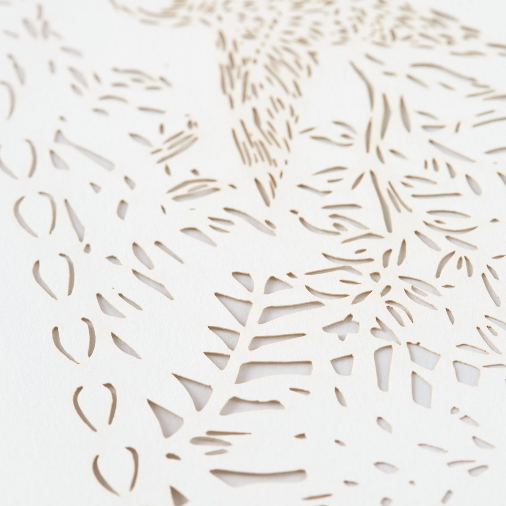 Hummingbird Harmony Papercut Ketubah Toronto by Tziona Brauner